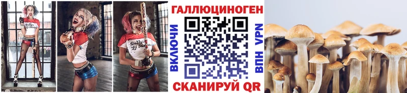 Псилоцибиновые грибы MAGIC MUSHROOMS Юрга